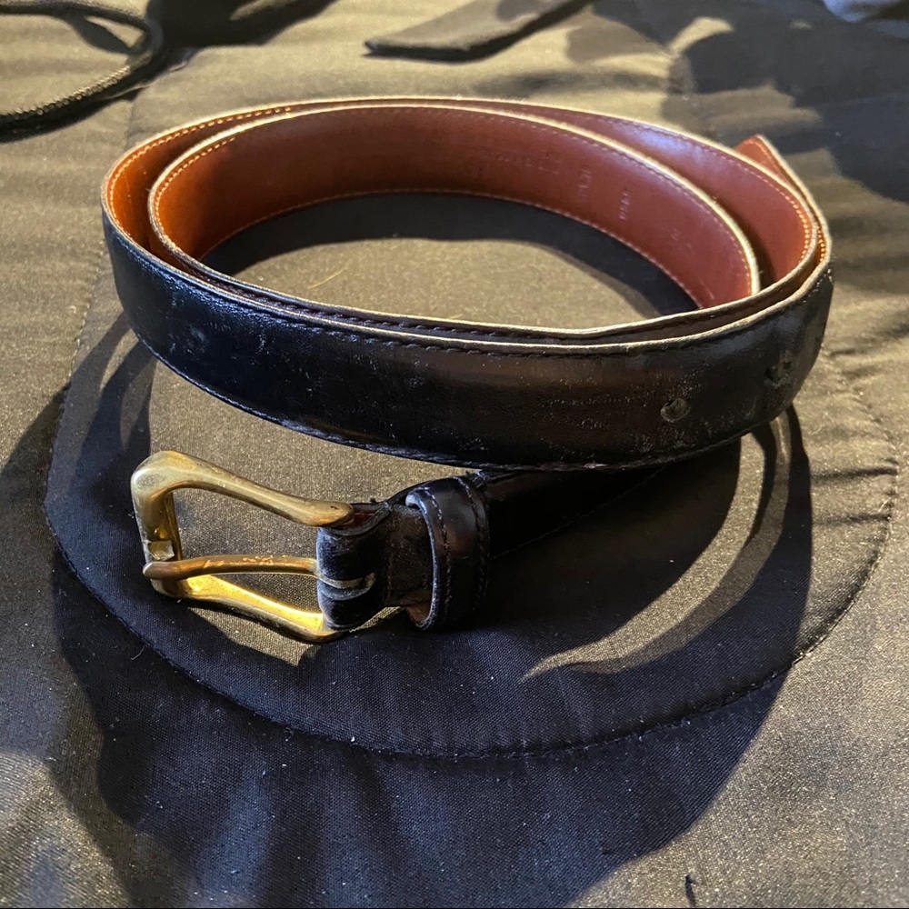 Coach belt